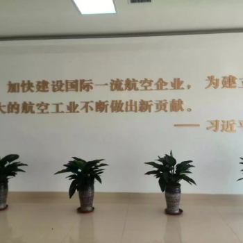 機(jī)場(chǎng)案例